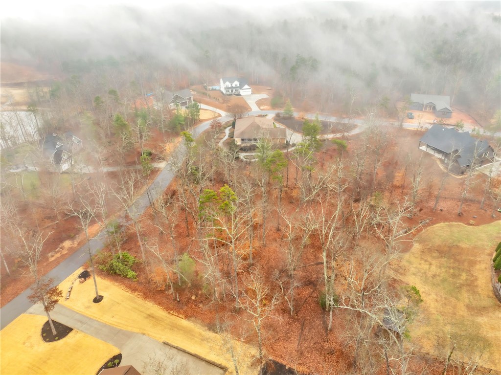 508 16th Circle Walhalla, SC 29691 - Photo 8 of 12 This expansive property offers a private wooded setting with potential for tranquil living.