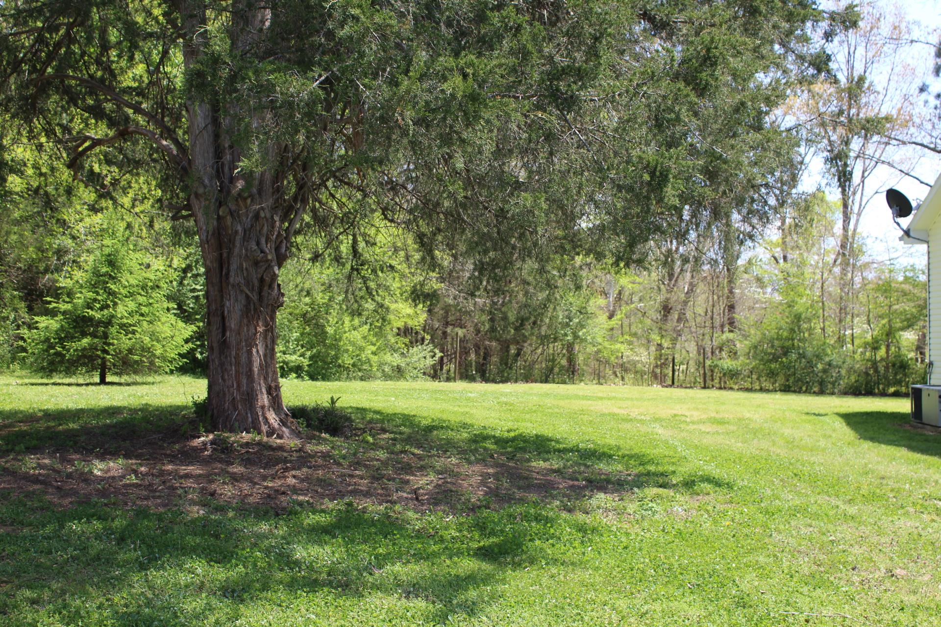 4620 Weems Road Nunnelly, TN 37137 - Photo 7 of 20 Gallery Image 7
