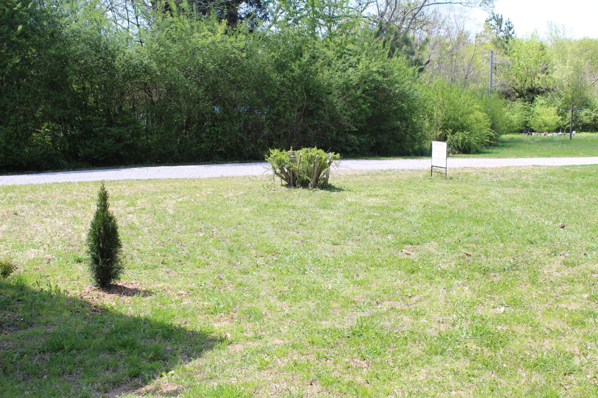 4620 Weems Road Nunnelly, TN 37137 - Photo 8 of 20 Gallery Image 8