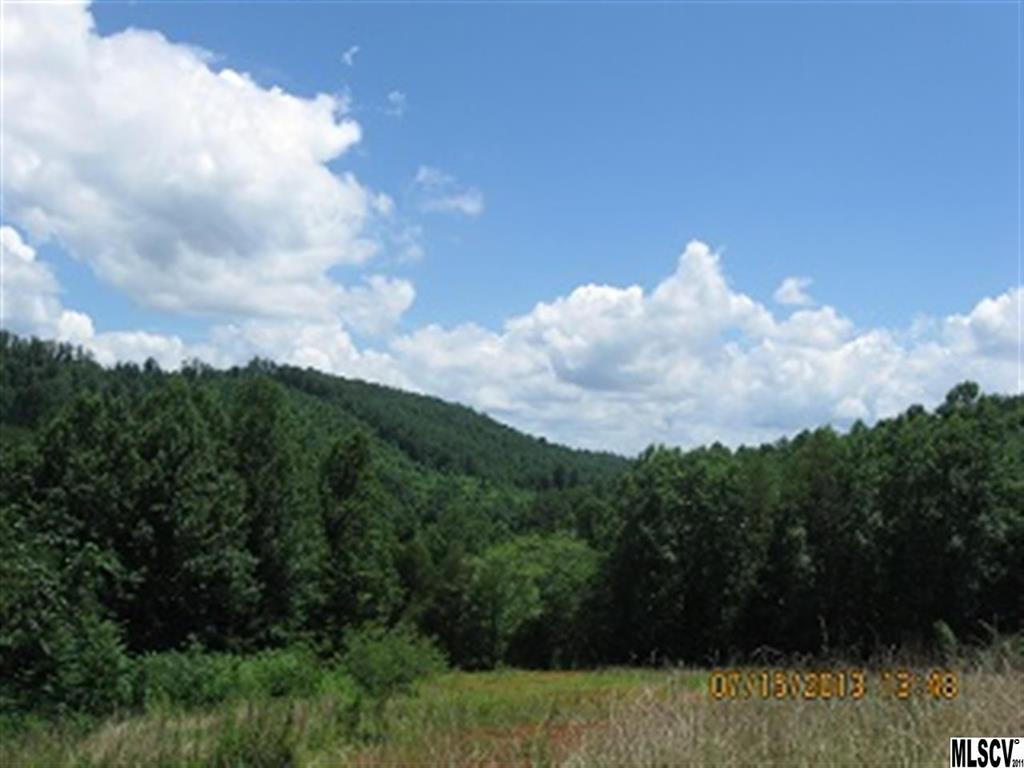 999 Blackburn Hollow Road Purlear, NC 28665 - Photo 3 of 7 Gallery Image 3