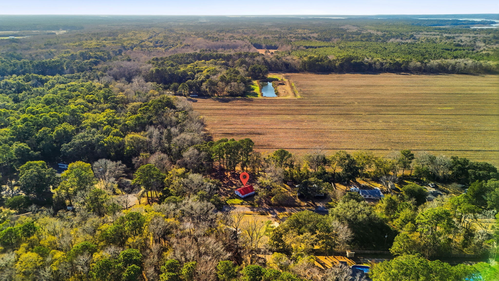 1733 Etheridge Road Wadmalaw Island, SC 29487 - Photo 29 of 35 29-web-or-mls-002_DJI_20260105144617_000