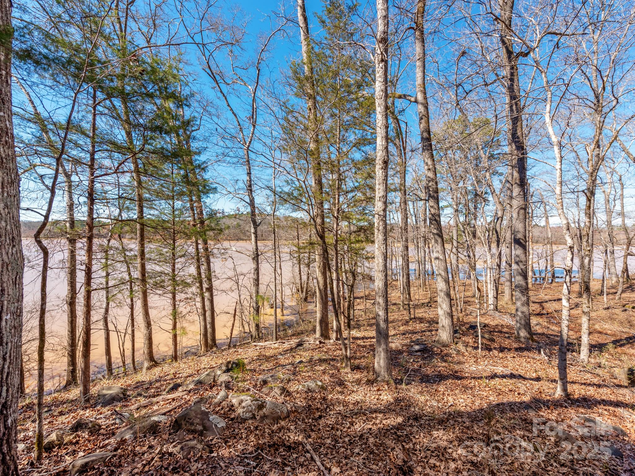 98 Great North Road Winnsboro, SC 29180 - Photo 1 of 33 Gallery Image 1