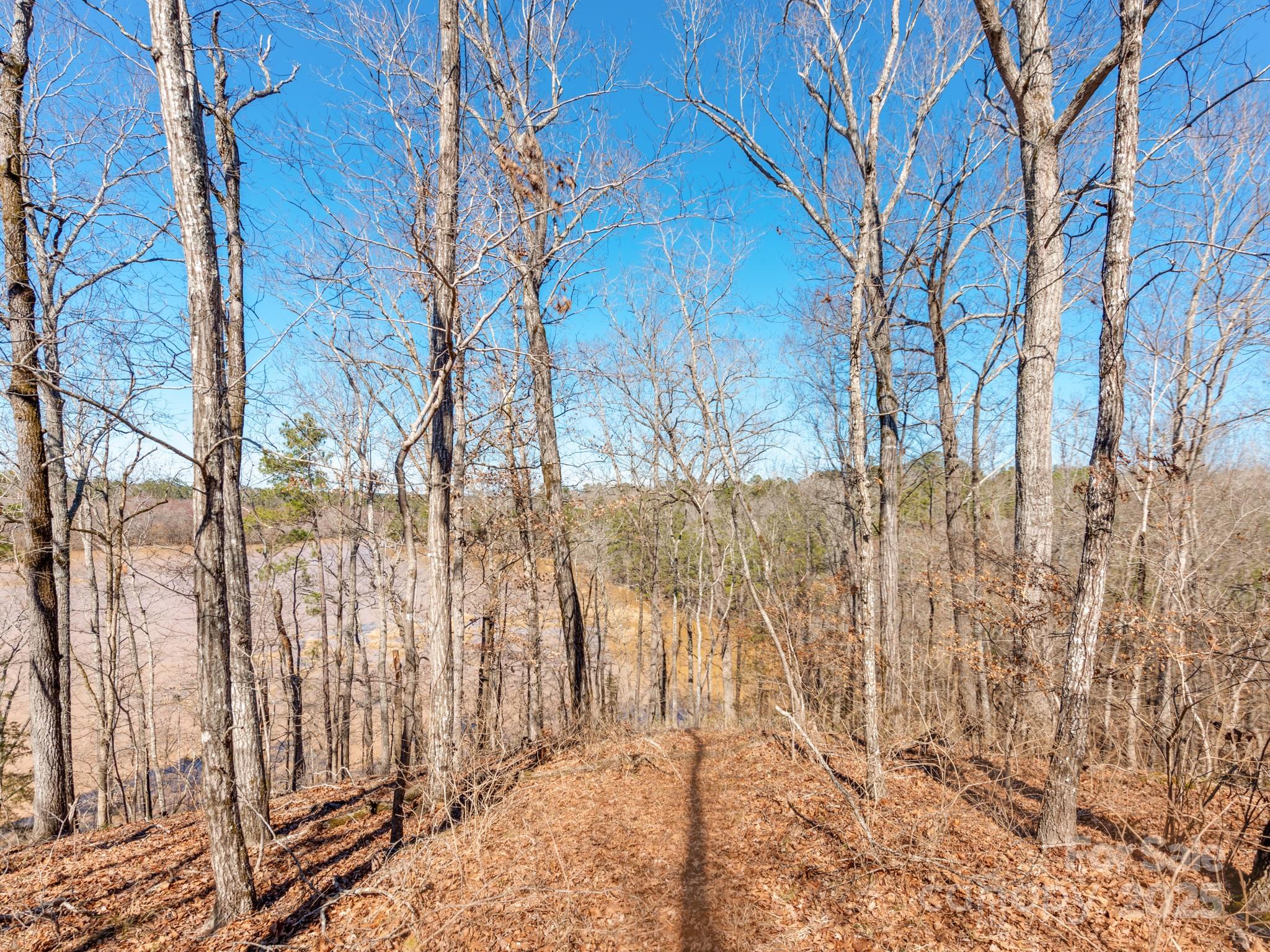 98 Great North Road Winnsboro, SC 29180 - Photo 11 of 33 Gallery Image 11