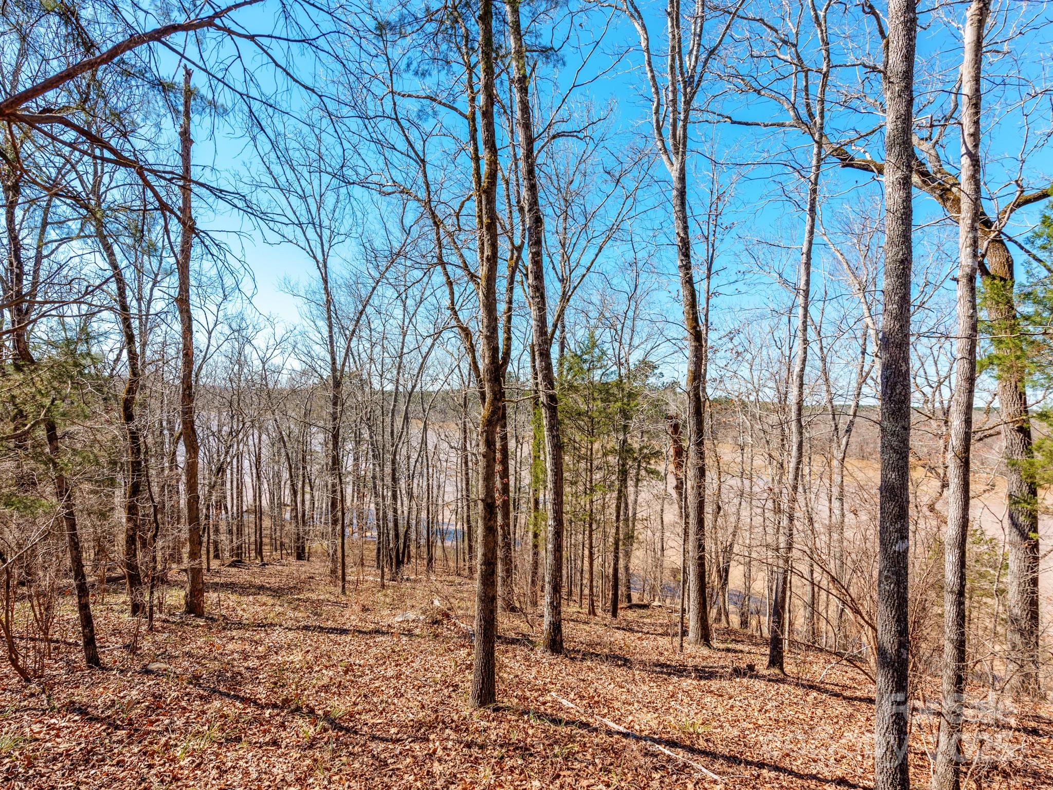 98 Great North Road Winnsboro, SC 29180 - Photo 12 of 33 Gallery Image 12