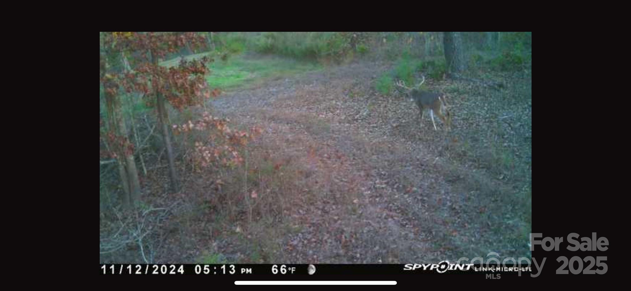98 Great North Road Winnsboro, SC 29180 - Photo 30 of 33 Gallery Image 30