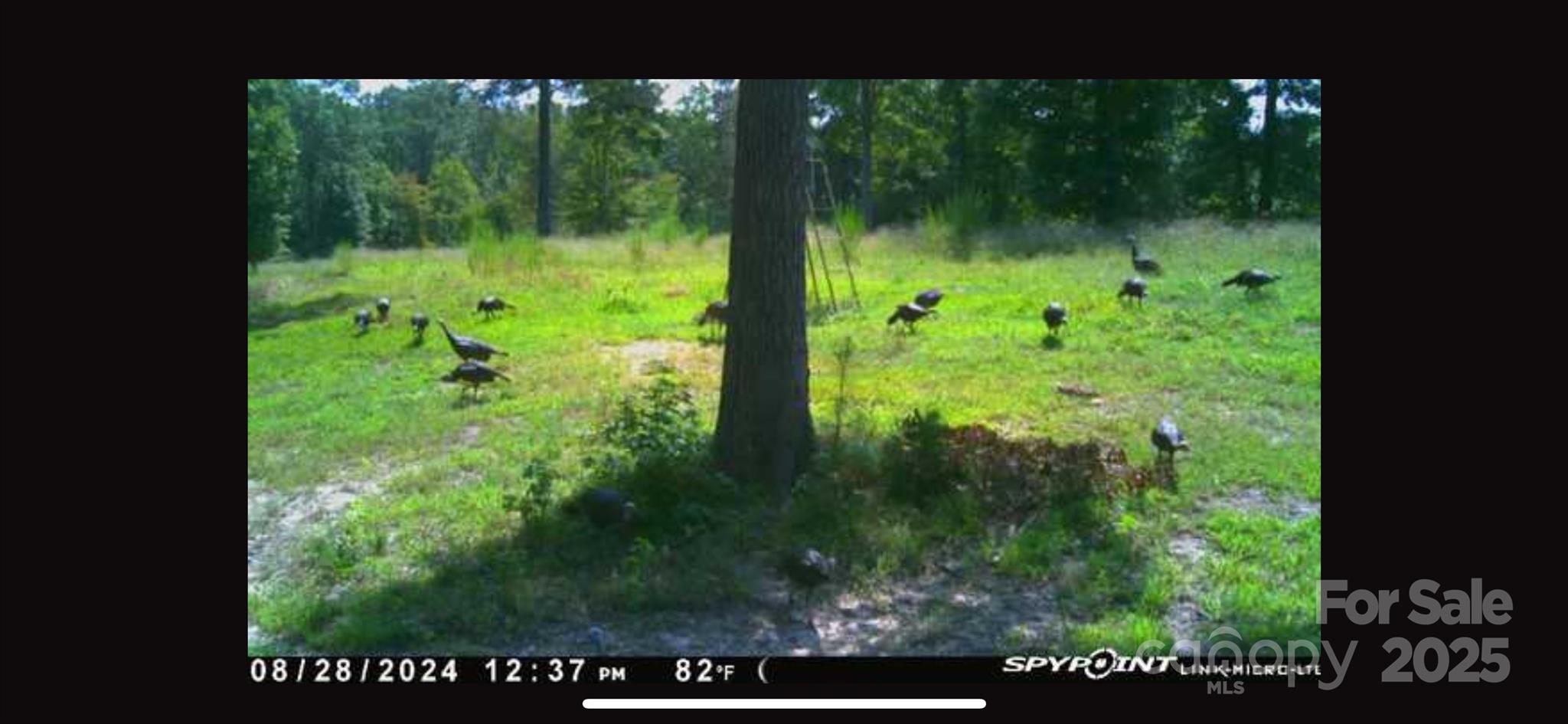 98 Great North Road Winnsboro, SC 29180 - Photo 33 of 33 Gallery Image 33