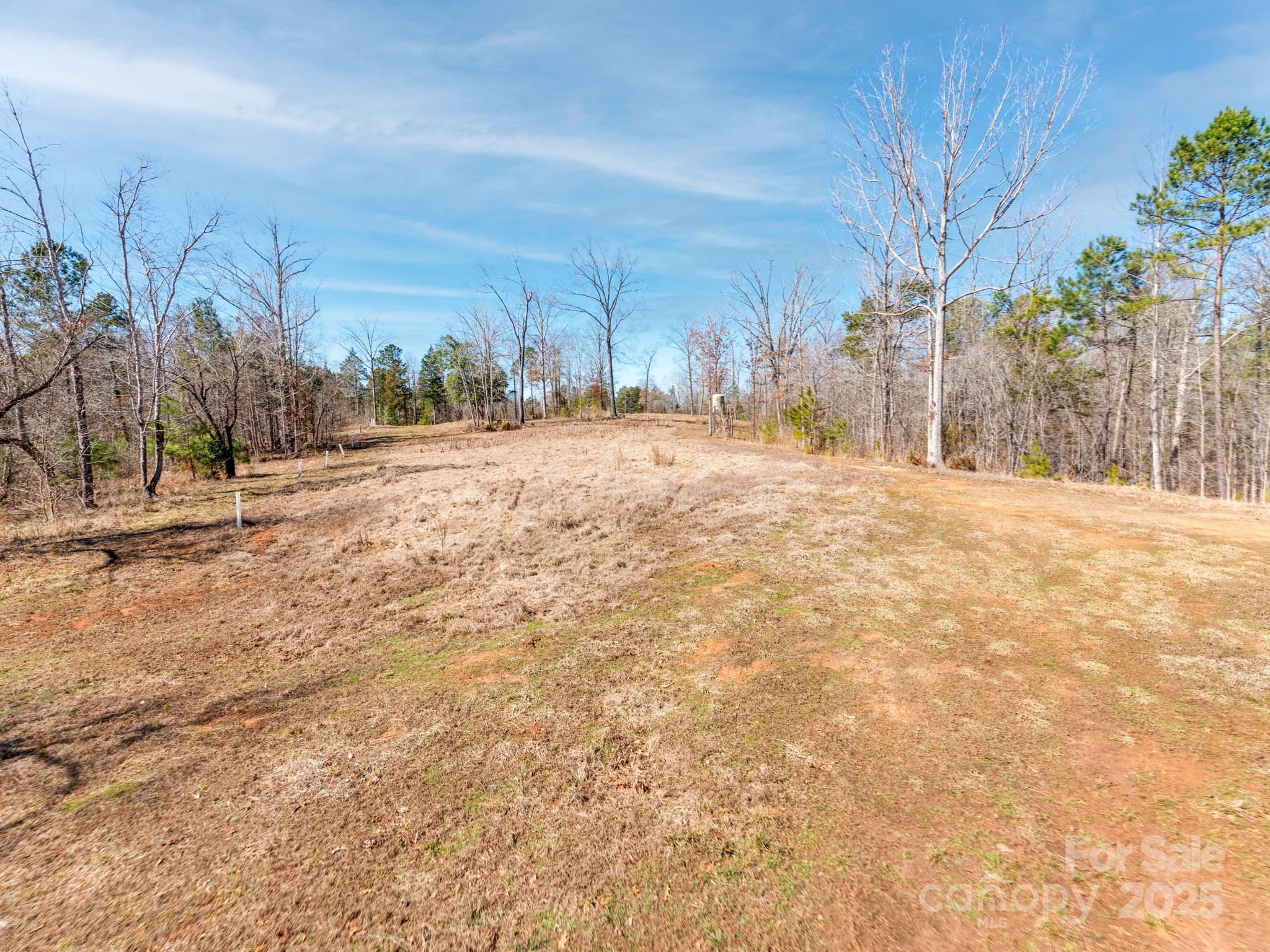 98 Great North Road Winnsboro, SC 29180 - Photo 9 of 33 Gallery Image 9