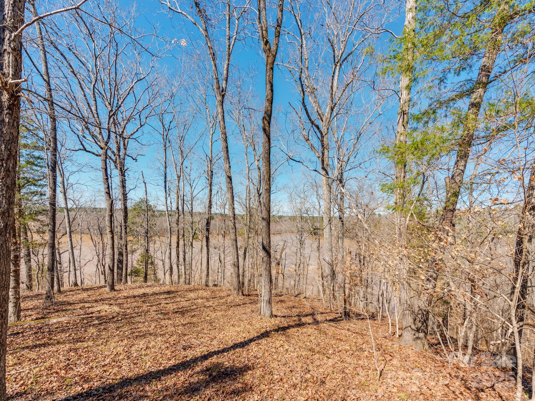 98 Great North Road Winnsboro, SC 29180 - Photo 10 of 33 Gallery Image 10