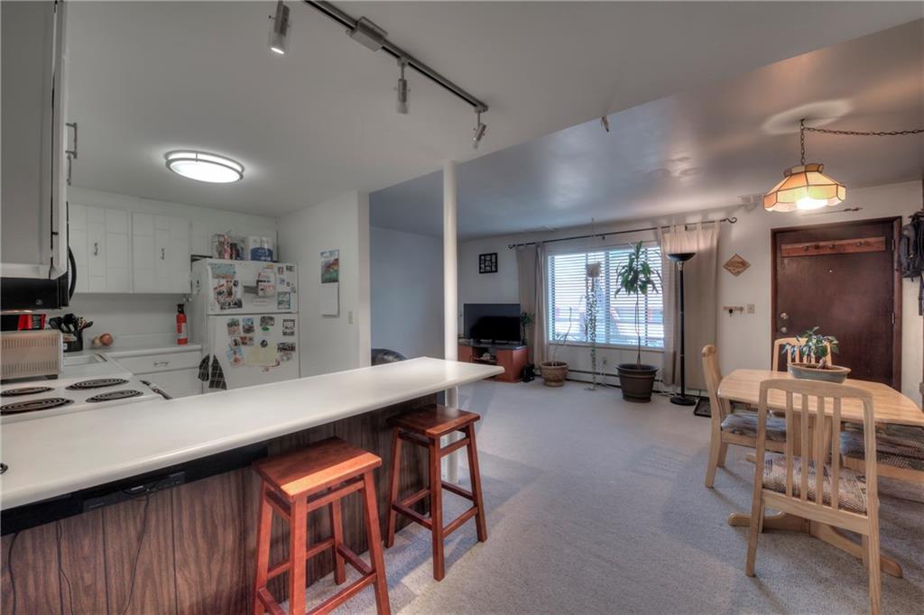 150 Evergreen Road, Unit 104 Dillon, CO 80435 - Photo 11 of 25 Gallery Image 11