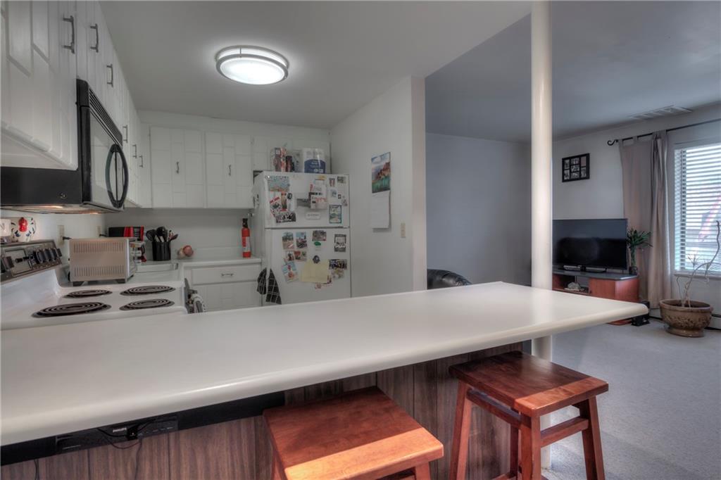 150 Evergreen Road, Unit 104 Dillon, CO 80435 - Photo 10 of 25 Gallery Image 10