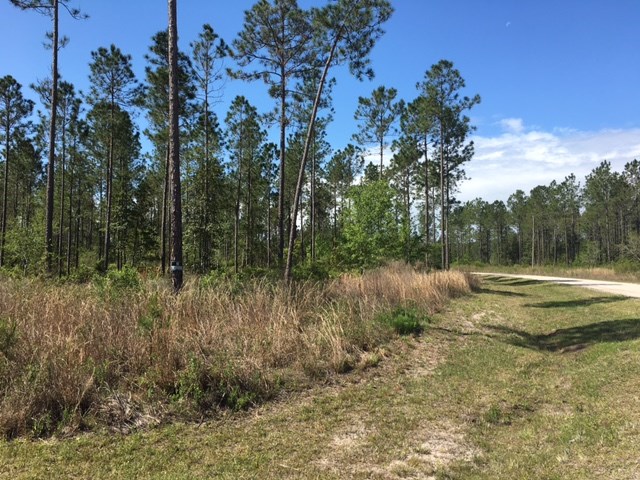 Mitigation Trail Callahan, FL 32011 - Photo 4 of 6 Gallery Image 4