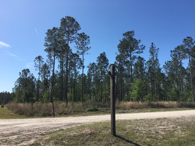 Mitigation Trail Callahan, FL 32011 - Photo 5 of 6 Gallery Image 5