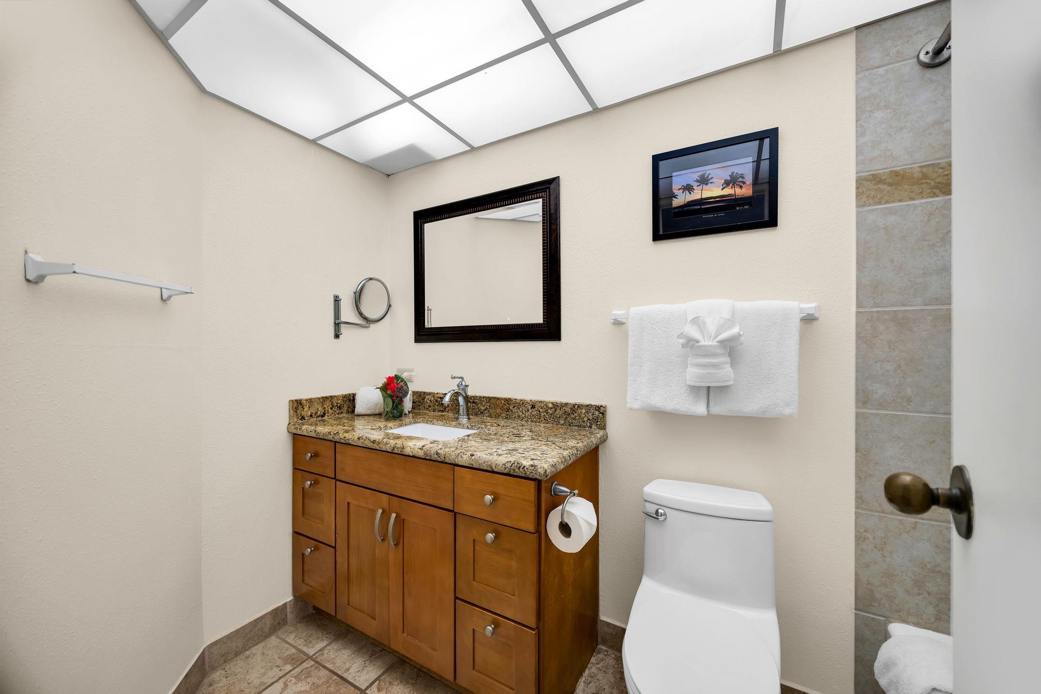 3445 Lower Honoapiilani Road, Unit 516 Lahaina, HI 96761 - Photo 34 of 49 a bathroom with a toilet sink and mirror