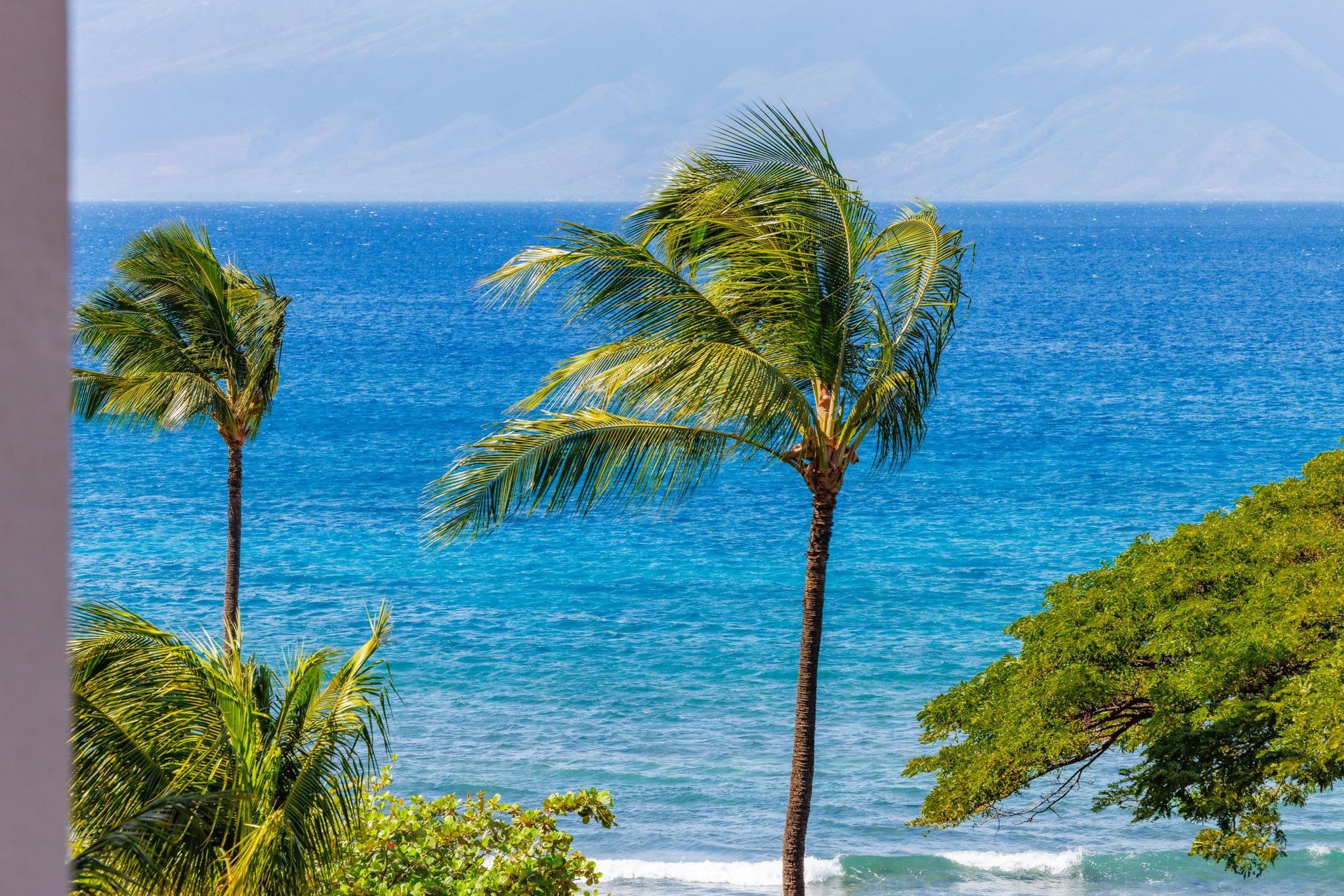 3445 Lower Honoapiilani Road, Unit 516 Lahaina, HI 96761 - Photo 45 of 49 a vase of flowers sitting on a wooden floor