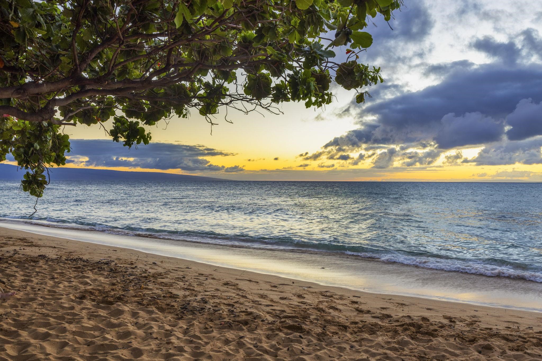 3445 Lower Honoapiilani Road, Unit 516 Lahaina, HI 96761 - Photo 46 of 49 a view of ocean view with large trees