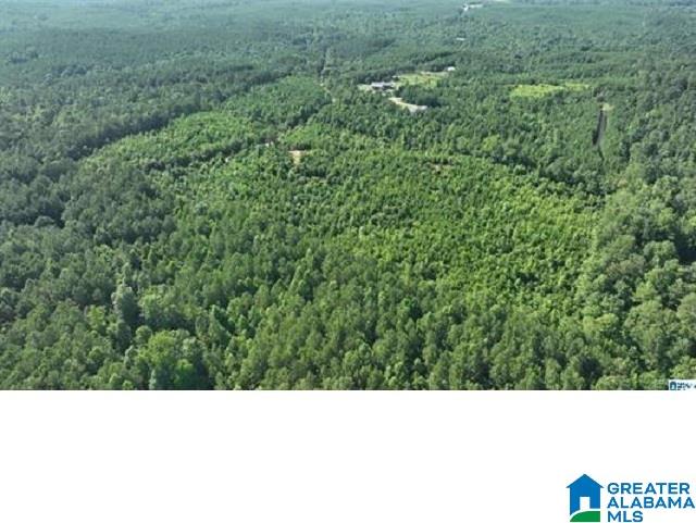 0 County Road 253, Unit 3 Clanton, AL 35046 - Photo 1 of 8