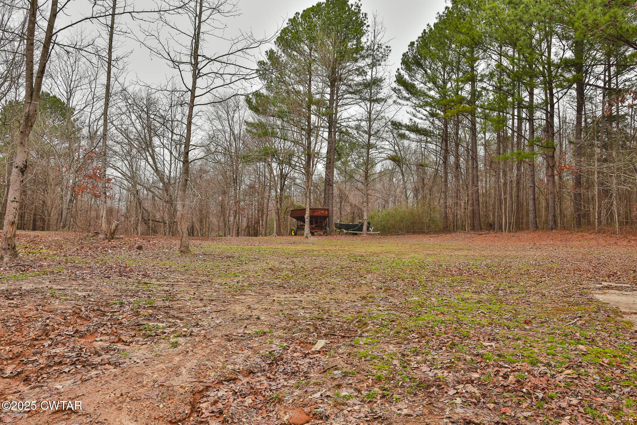 1421 Copper Spring Road Springville, TN 38256 - Photo 68 of 79 FT8A2059