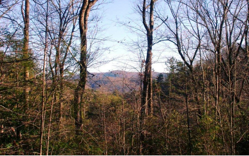 307 Lakota Trail Blue Ridge, GA 30513 - Photo 1 of 1 Main View