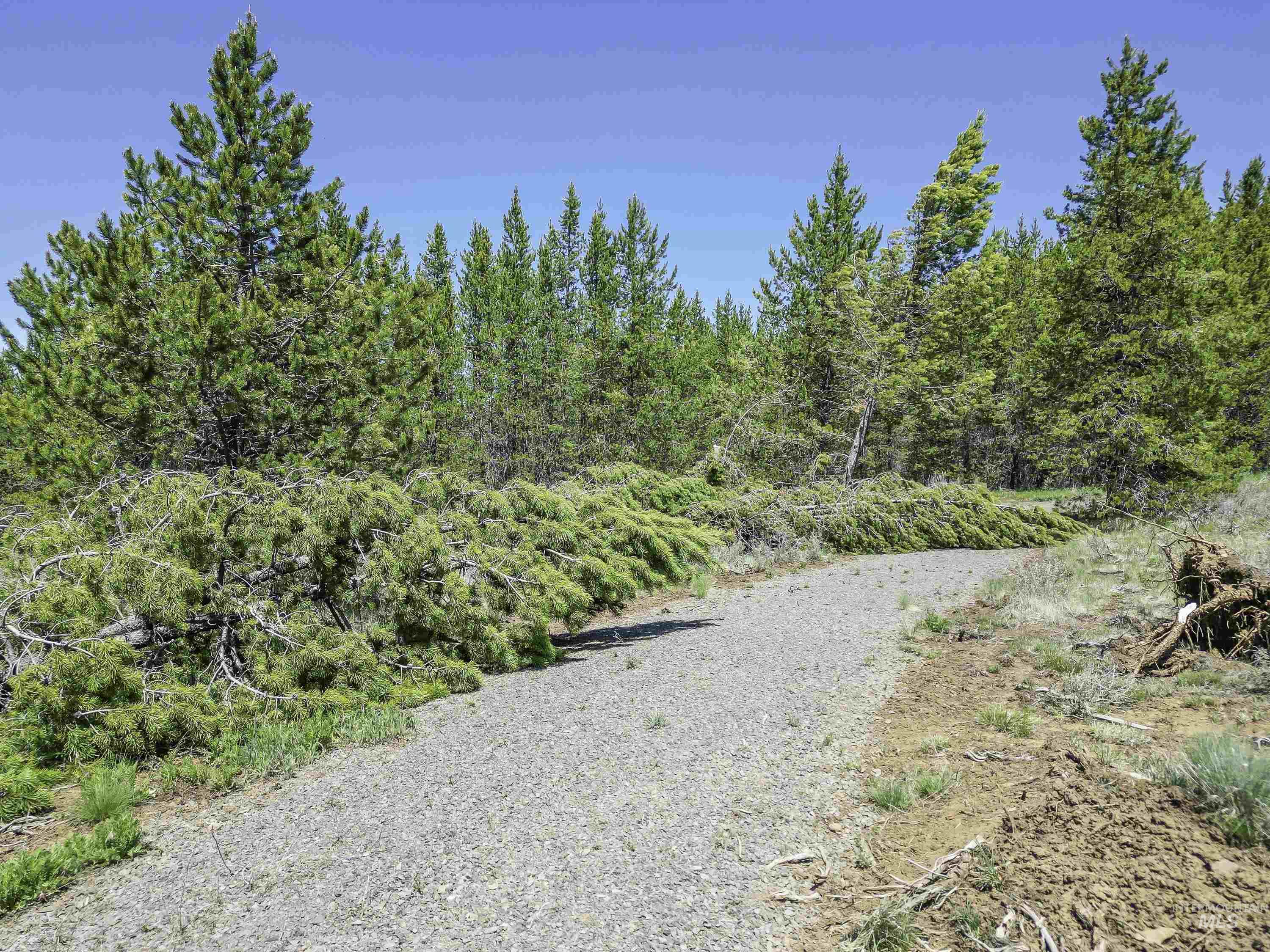 Tbd Deer Creek Road Winchester, ID 83555 - Photo 10 of 39