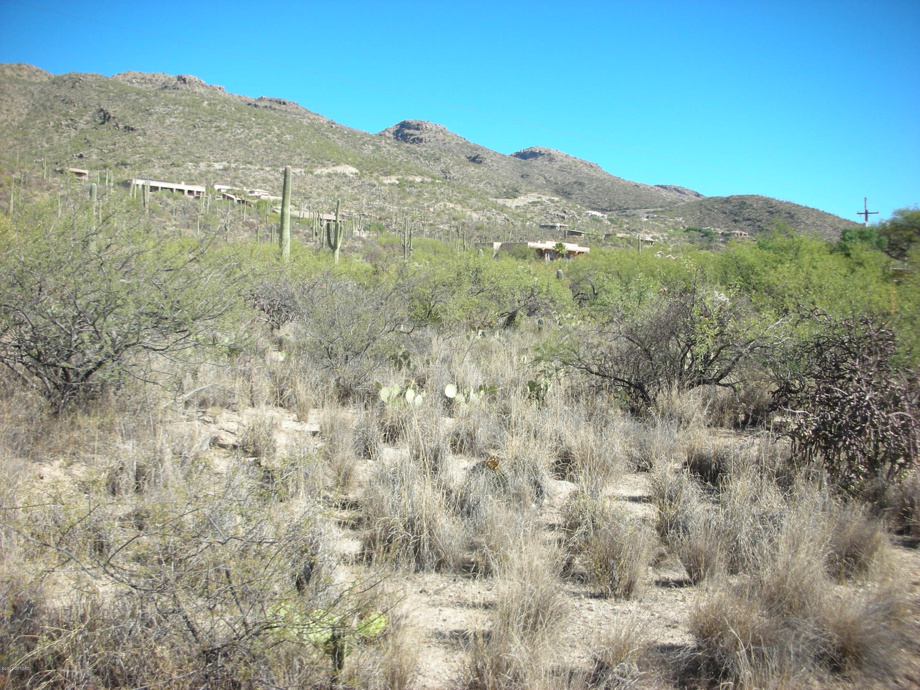 5240 North Mt Lemmon Short Road, Unit 5 Tucson, AZ 85749 - Photo 1 of 19