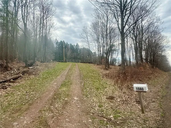 $174,900 | 1980 Swart Hollow Road, Davenport, NY 13820
