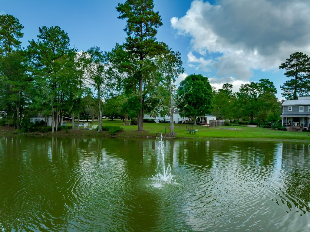 1024 Pebble Lane Manning, SC 29102 - Photo 59 of 65