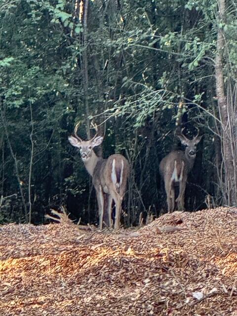 Lt1 Oak Knoll Road Rochester, WI 53105 - Photo 39 of 43 IMG_2362