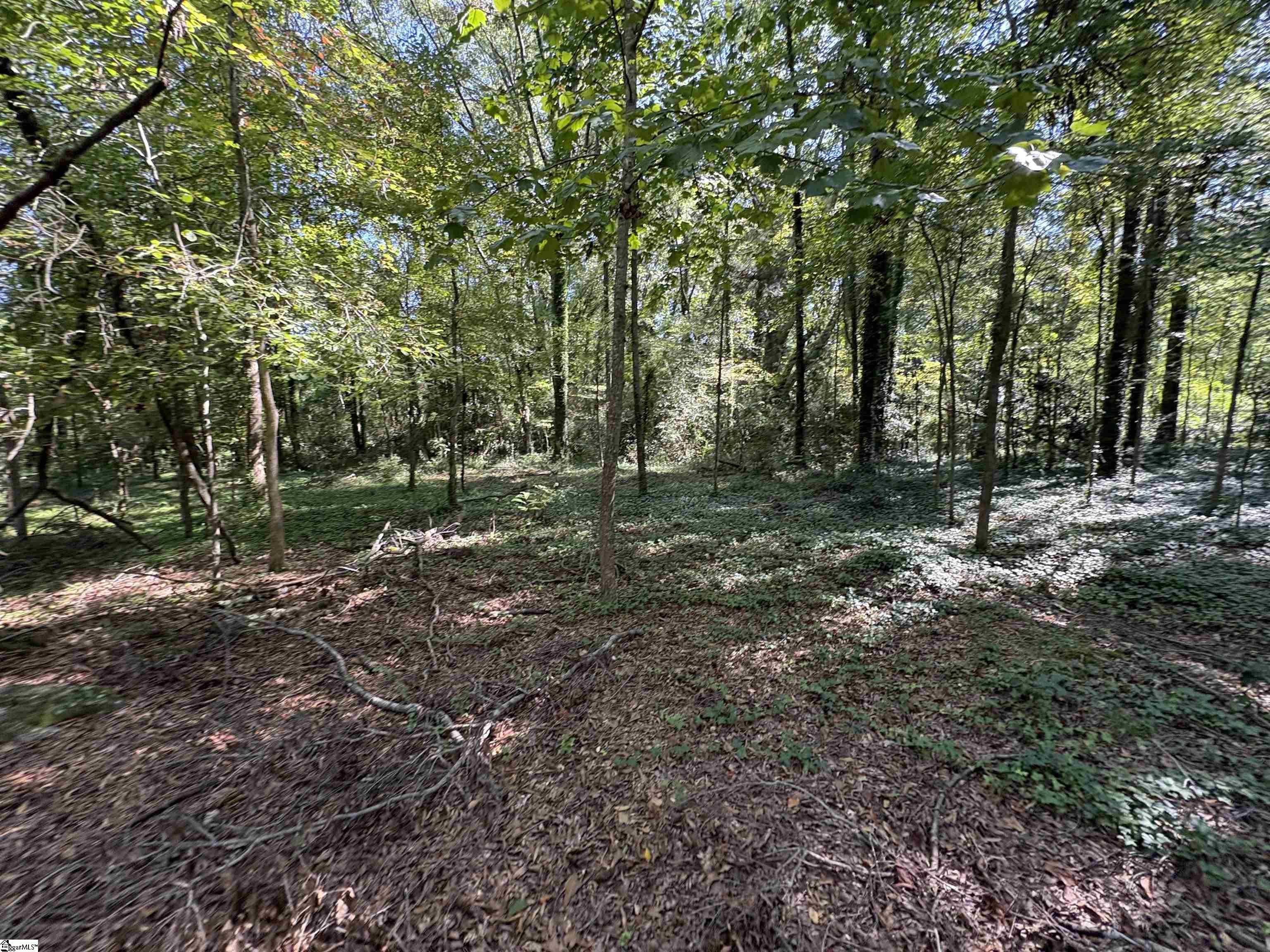 105 Downs Street Laurens, SC 29360 - Photo 11 of 21