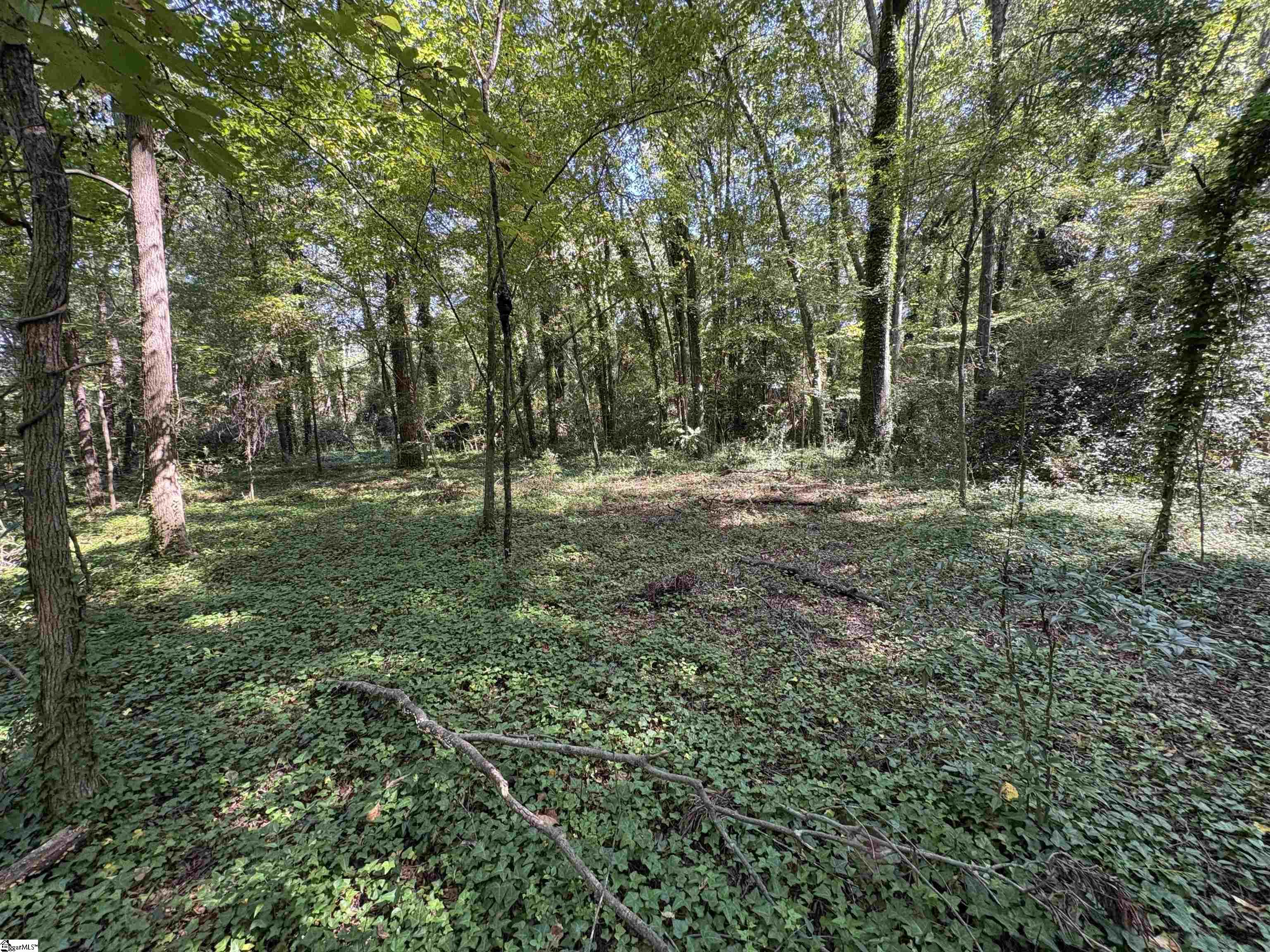 105 Downs Street Laurens, SC 29360 - Photo 13 of 21