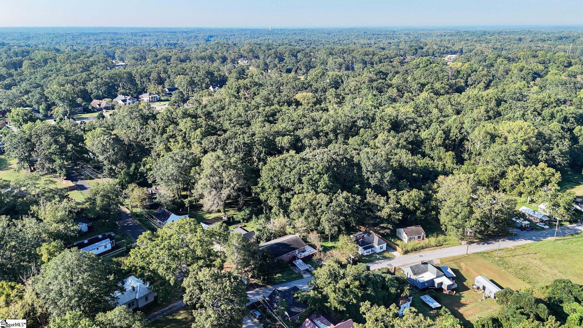 105 Downs Street Laurens, SC 29360 - Photo 20 of 21