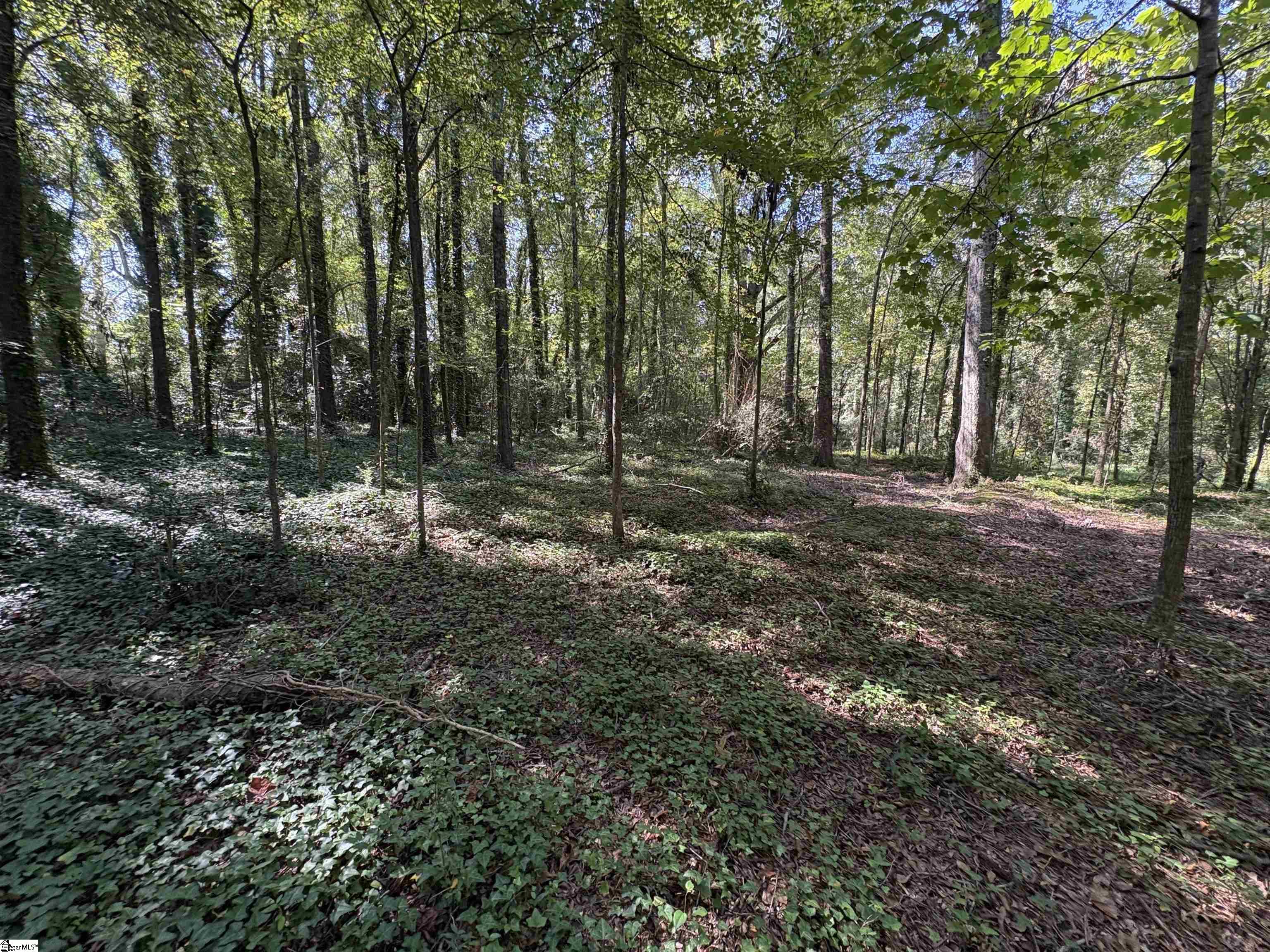 105 Downs Street Laurens, SC 29360 - Photo 4 of 21