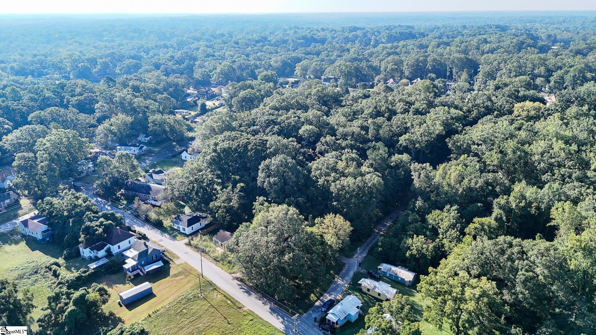 105 Downs Street Laurens, SC 29360 - Photo 9 of 21