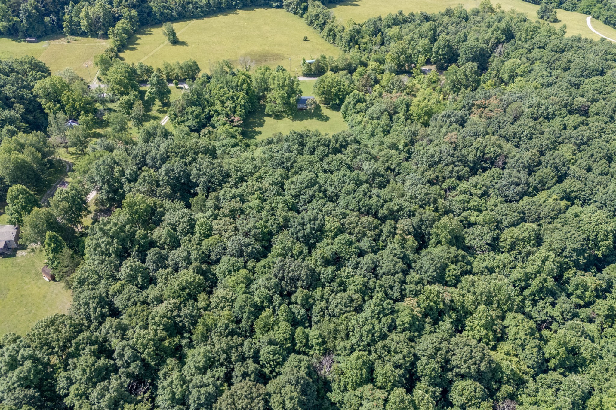 801 Stony Point Mountain Road Doyle, TN 38559 - Photo 30 of 34 Gallery Image 30