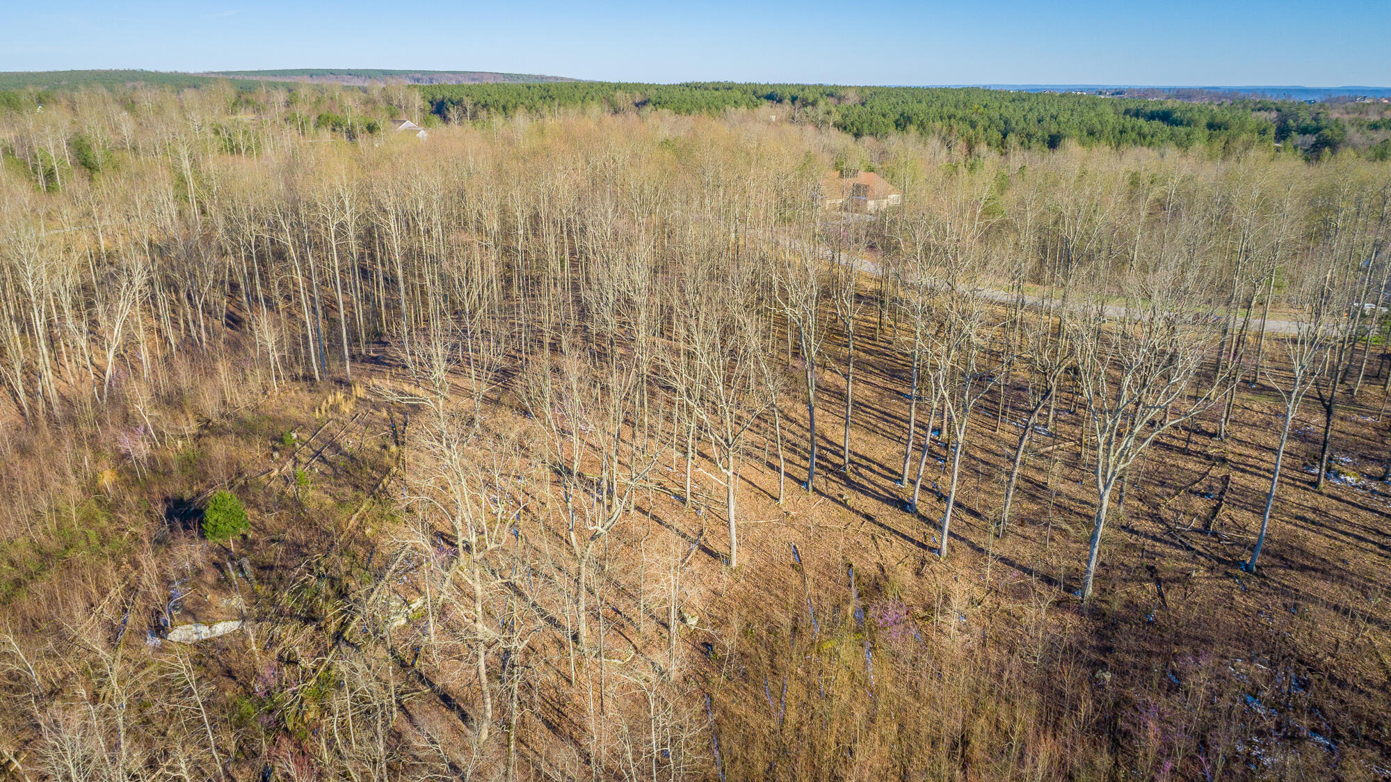 0 Cherokee Path, Unit JF269 Jasper, TN 37347 - Photo 58 of 94 0 Cherokee Path - JF269 HD-55
