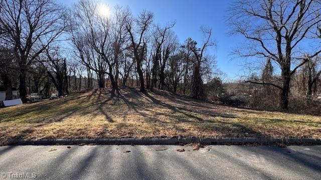 59-ac Linville Road Mount Airy, NC 27030 - Photo 1 of 15