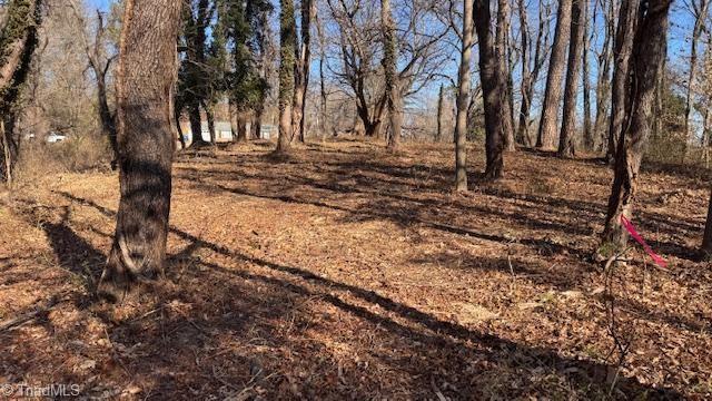 59-ac Linville Road Mount Airy, NC 27030 - Photo 11 of 15