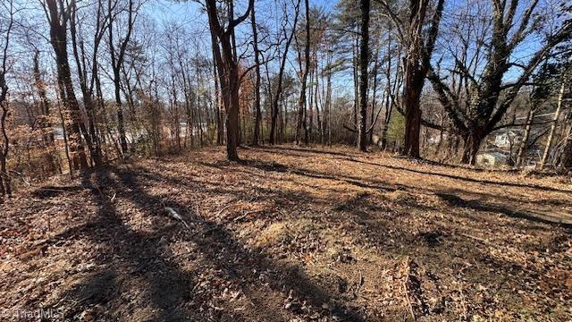 59-ac Linville Road Mount Airy, NC 27030 - Photo 12 of 15