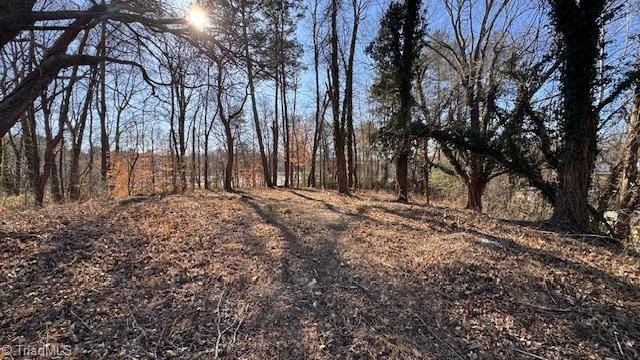 59-ac Linville Road Mount Airy, NC 27030 - Photo 13 of 15