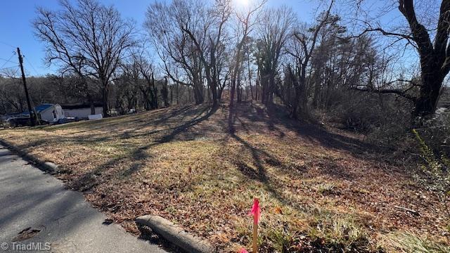 59-ac Linville Road Mount Airy, NC 27030 - Photo 14 of 15