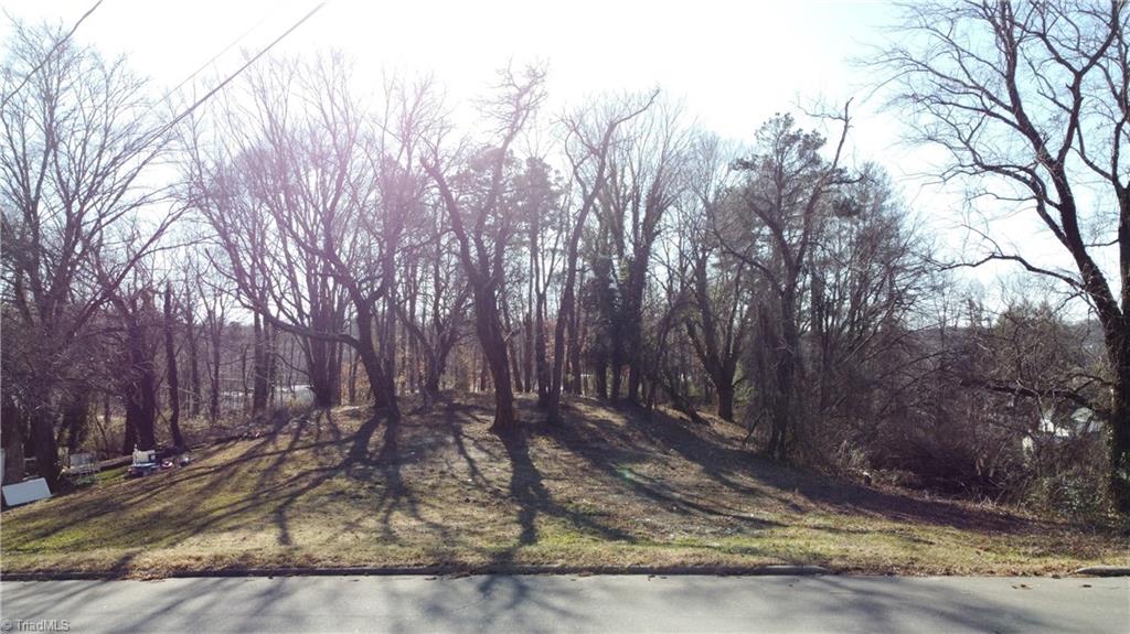 59-ac Linville Road Mount Airy, NC 27030 - Photo 15 of 15