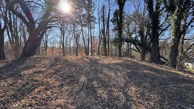 $38,500 | 59-ac Linville Road, Mount Airy, NC 27030