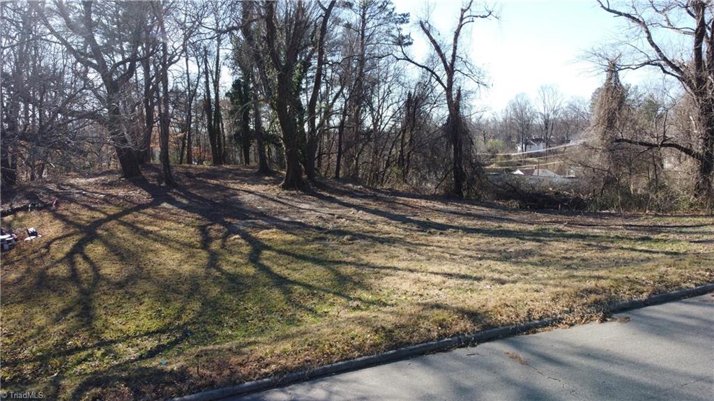 59-ac Linville Road Mount Airy, NC 27030 - Photo 6 of 15