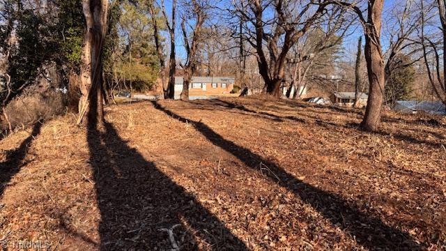 59-ac Linville Road Mount Airy, NC 27030 - Photo 10 of 15