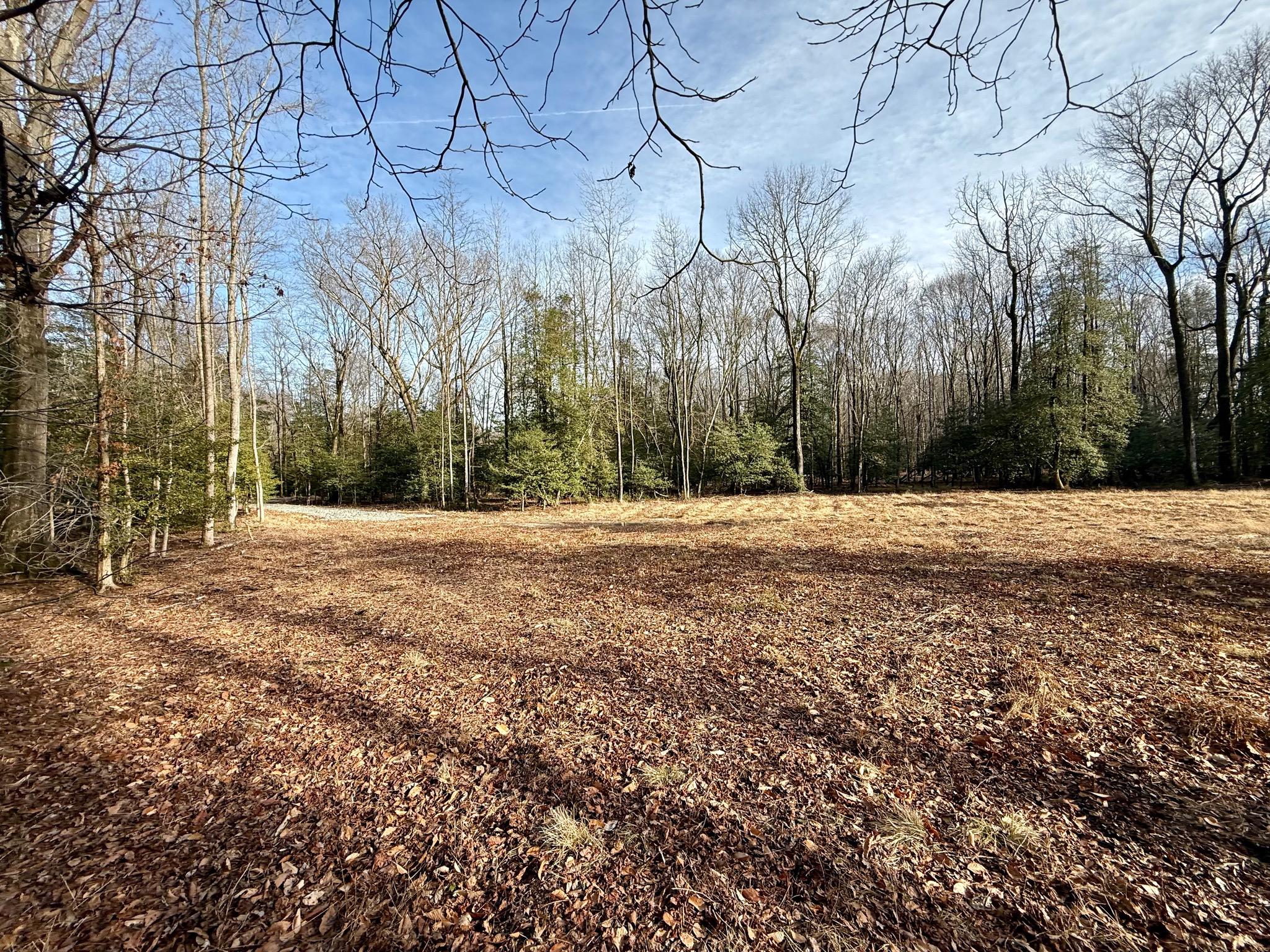 0 Utica Road, Unit PARCEL 3 Greenwood, DE 19950 - Photo 6 of 8 Parcel 3 clearing in early Spring