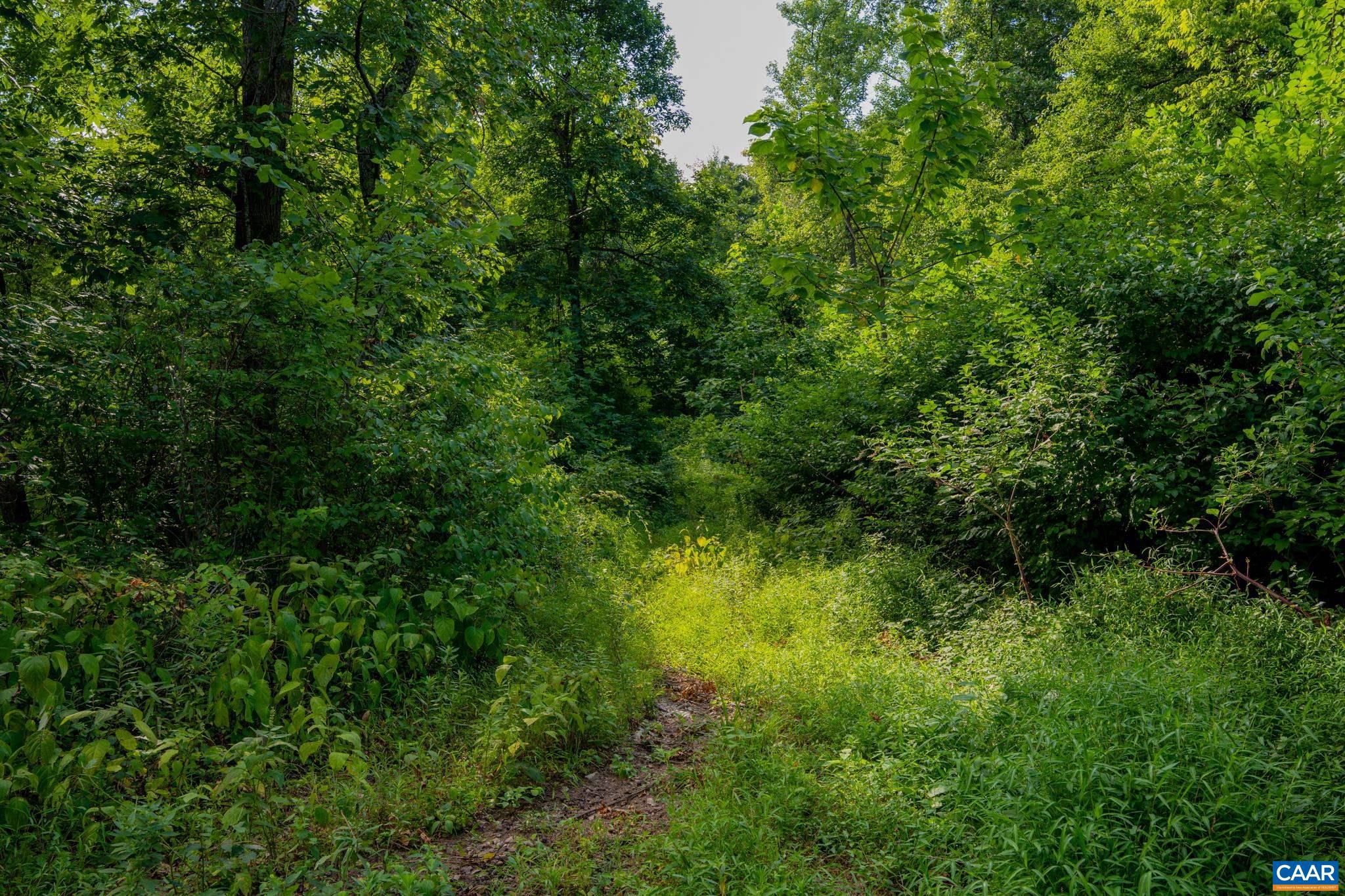 Tbd North Frog Hollow Road Winchester, VA 22603 - Photo 40 of 49 Gallery Image 40
