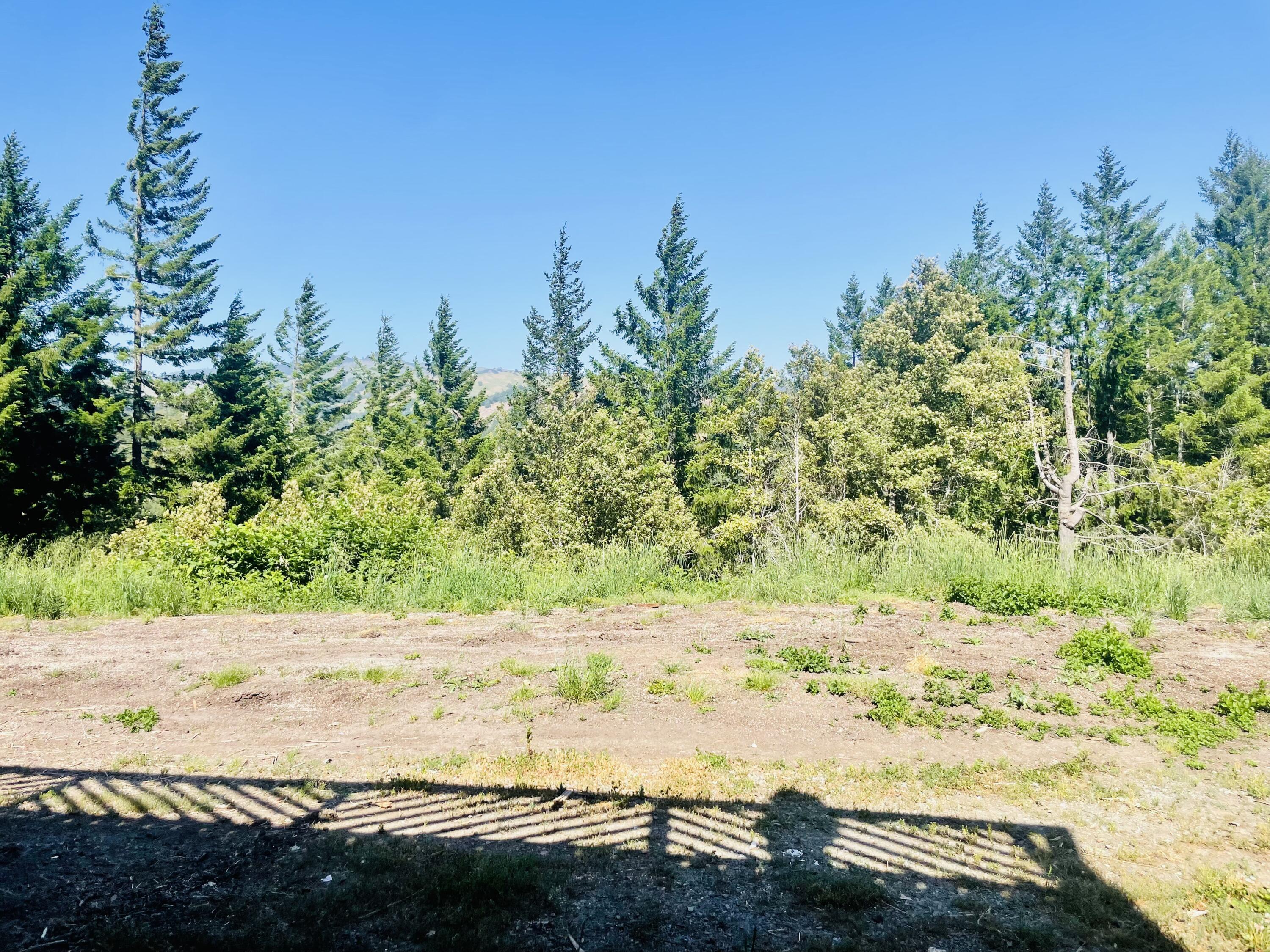 360 Graycliff Road Garberville, CA 95542 - Photo 47 of 63