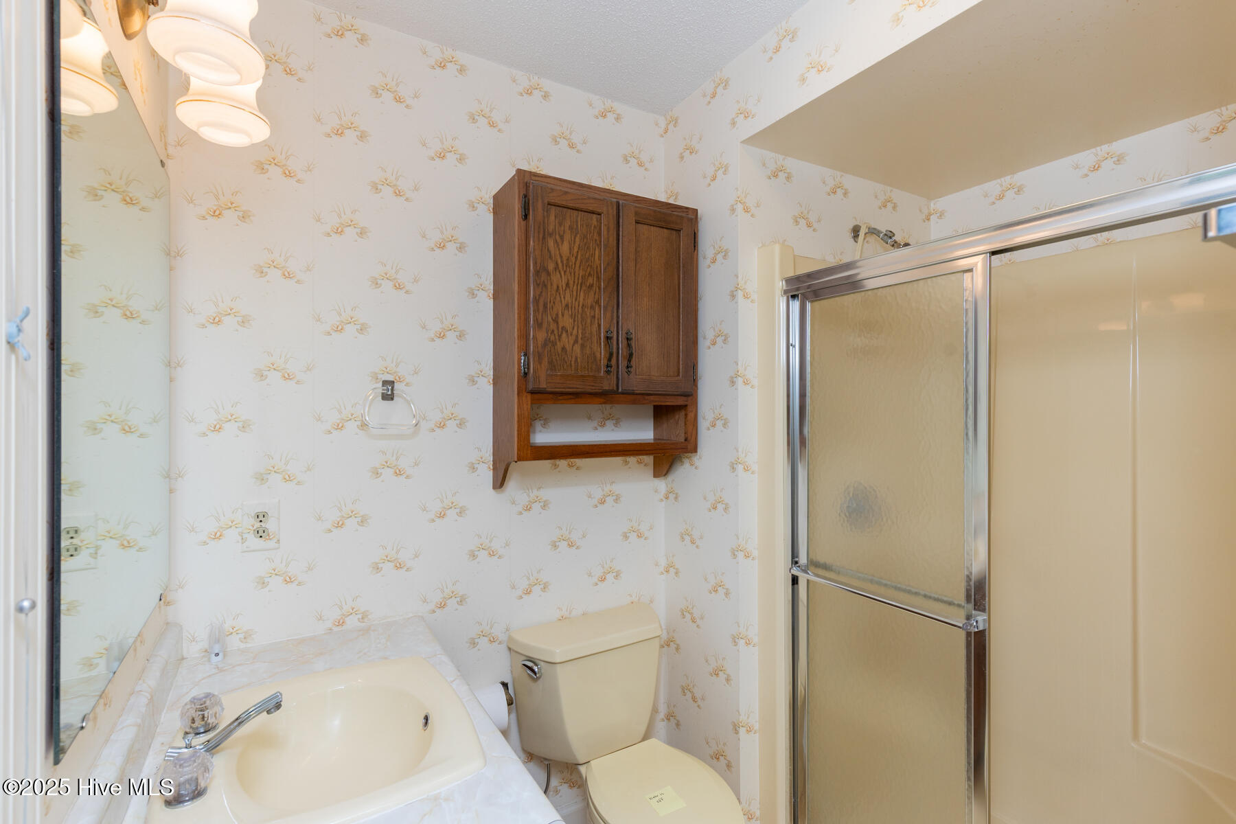 241 Firetree Lane West End, NC 27376 - Photo 18 of 38 primary bath2