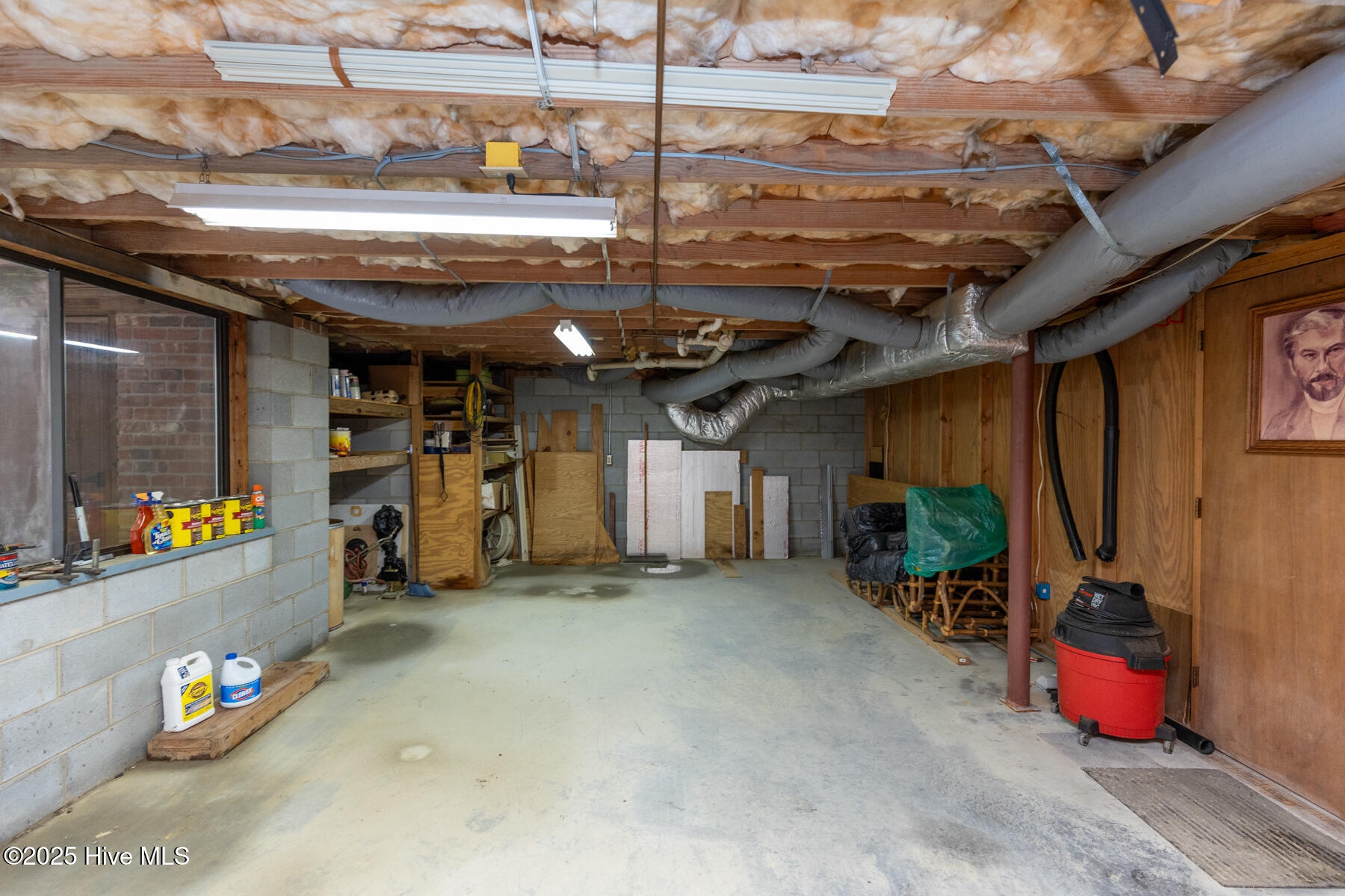 241 Firetree Lane West End, NC 27376 - Photo 30 of 38 lower storage-flex1