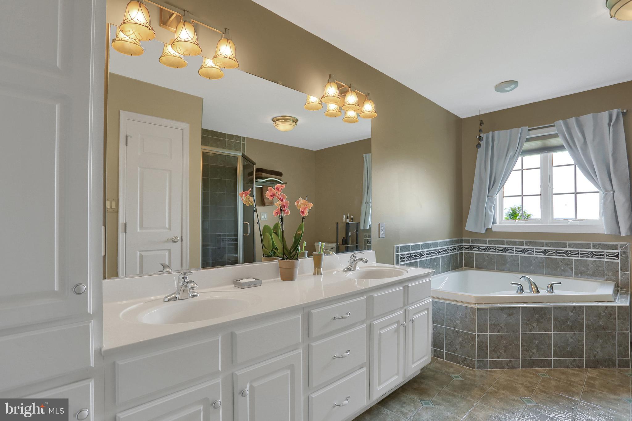 440 Doe Run Road Manheim, PA 17545 - Photo 13 of 30 Master Bathroom