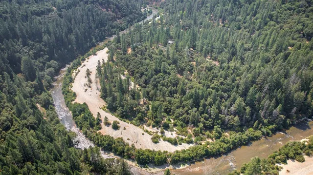 a view of a tree in a yard